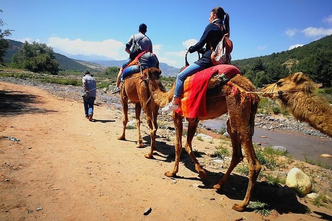 Marrakech: Atlas Mountains & Berber Villages Tour & Camel Ride - Key points to know before booking