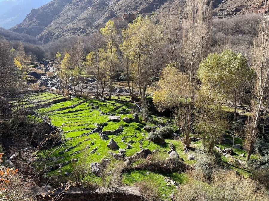 Marrakech: Atlas Mountains, Camel Ride, Waterfalls, & Lunch - What the $19 price really buys