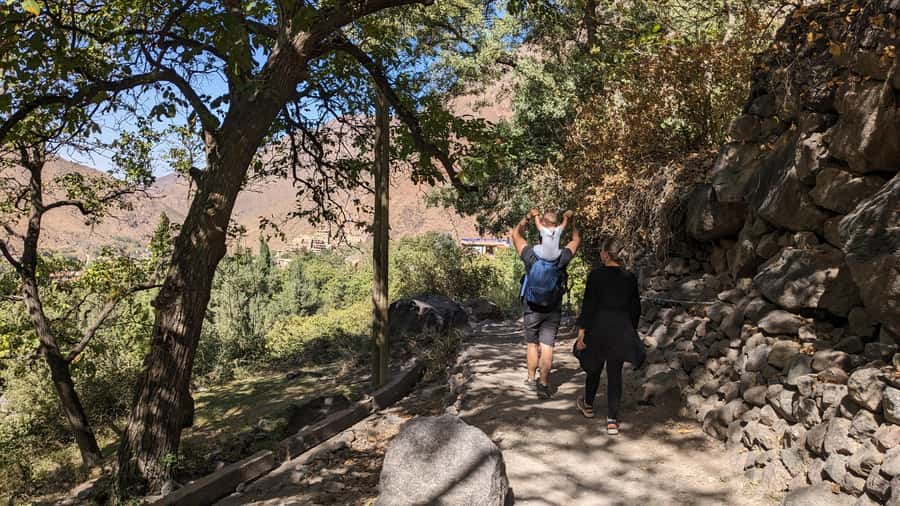Marrakech: Atlas Mountains, Camel Ride, Waterfalls, & Lunch - Guides, drivers, and the human side of the day