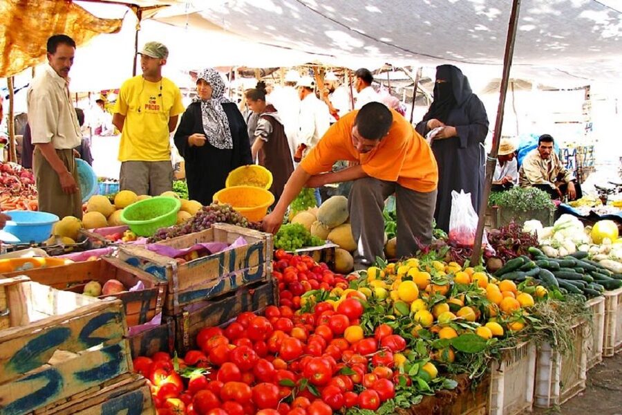 Marrakech: Atlas Mountains, Camel Ride, Waterfalls, & Lunch - Who should book this excursion?