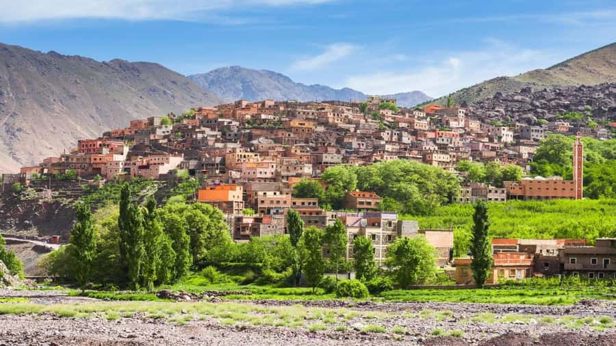 Marrakech: Atlas Mountains, Camel Ride, Waterfalls, & Lunch - A camel ride beside Lala Takerkoust