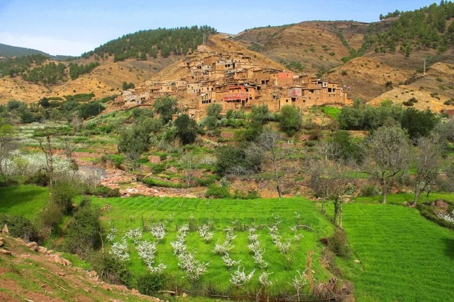Marrakech: Atlas Mountains Day Trip, 3 Valleys & Waterfalls - Guides, timing, and the human side of the day