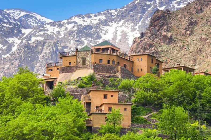Marrakech: Atlas Mountains Day Trip, 3 Valleys & Waterfalls - Argan oil, with a practical caveat