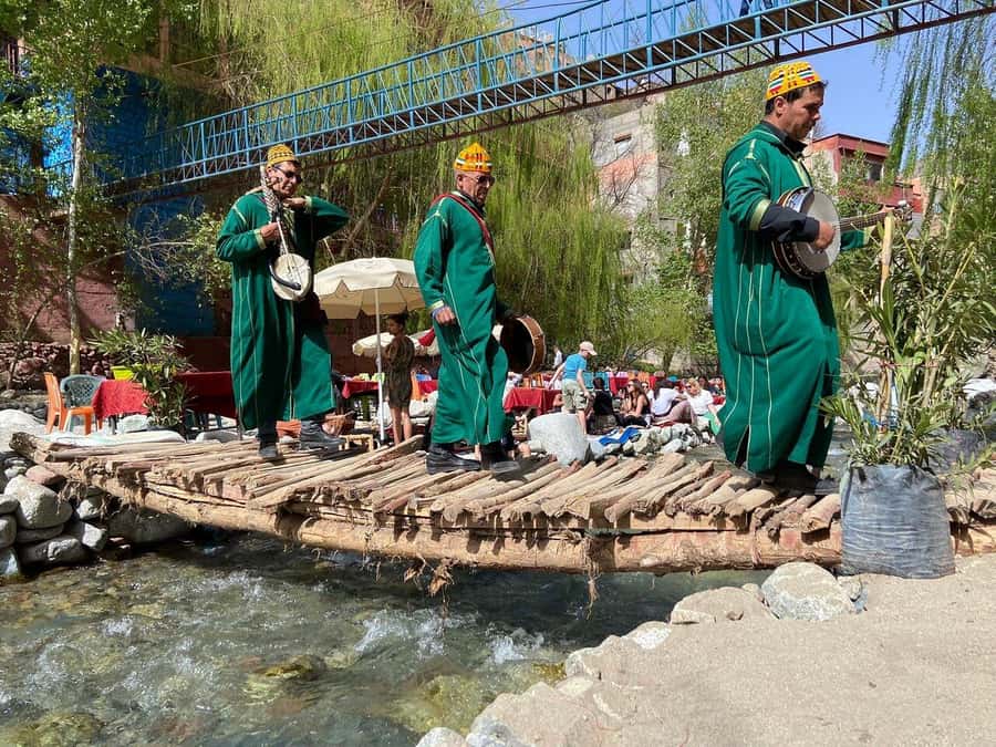 Marrakech: Atlas Mountains, Ourika Valley, Waterfall & Guide - Five things to know before you book
