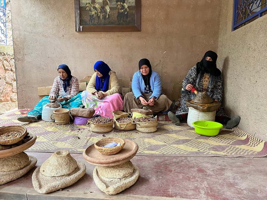 Marrakech: Atlas Mountains, Ourika Valley, Waterfall & Guide - Is $14 good value?