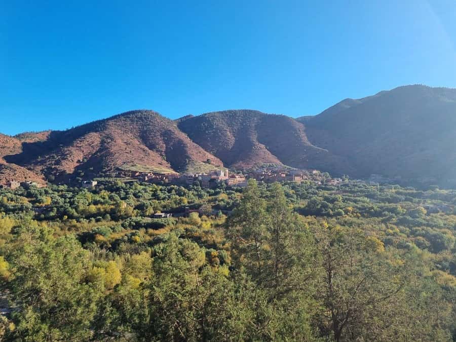 Marrakech: Atlas Mountains, Ourika Valley, Waterfall & Lunch - How the guides shape the day