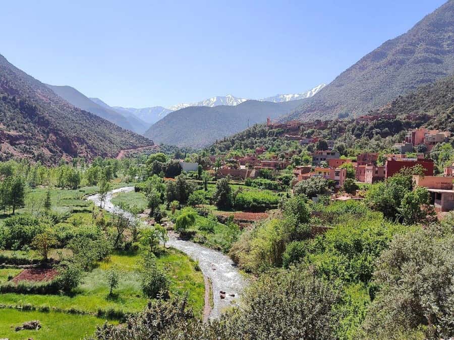 Marrakech: Atlas Mountains, Ourika Valley, Waterfall & Lunch - Practical advice for a smoother day