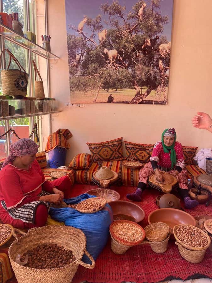 Marrakech: Atlas Mountains, Ourika Valley with Guide & Lunch - Who should book this day trip