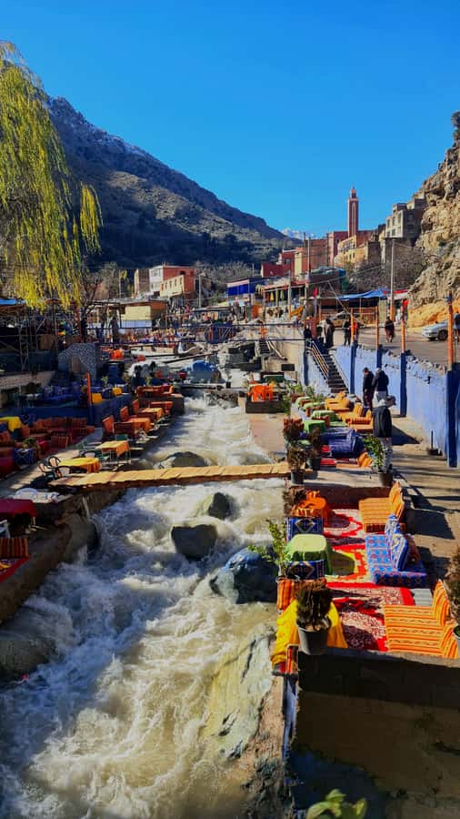 Marrakech: Atlas Mountains & Ourika Waterfalls, Lunch+Guide - How argan oil is made