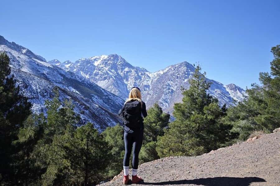 Marrakech: Atlas Mountains Summit Day Trek 2700m - Guides and the small-group advantage