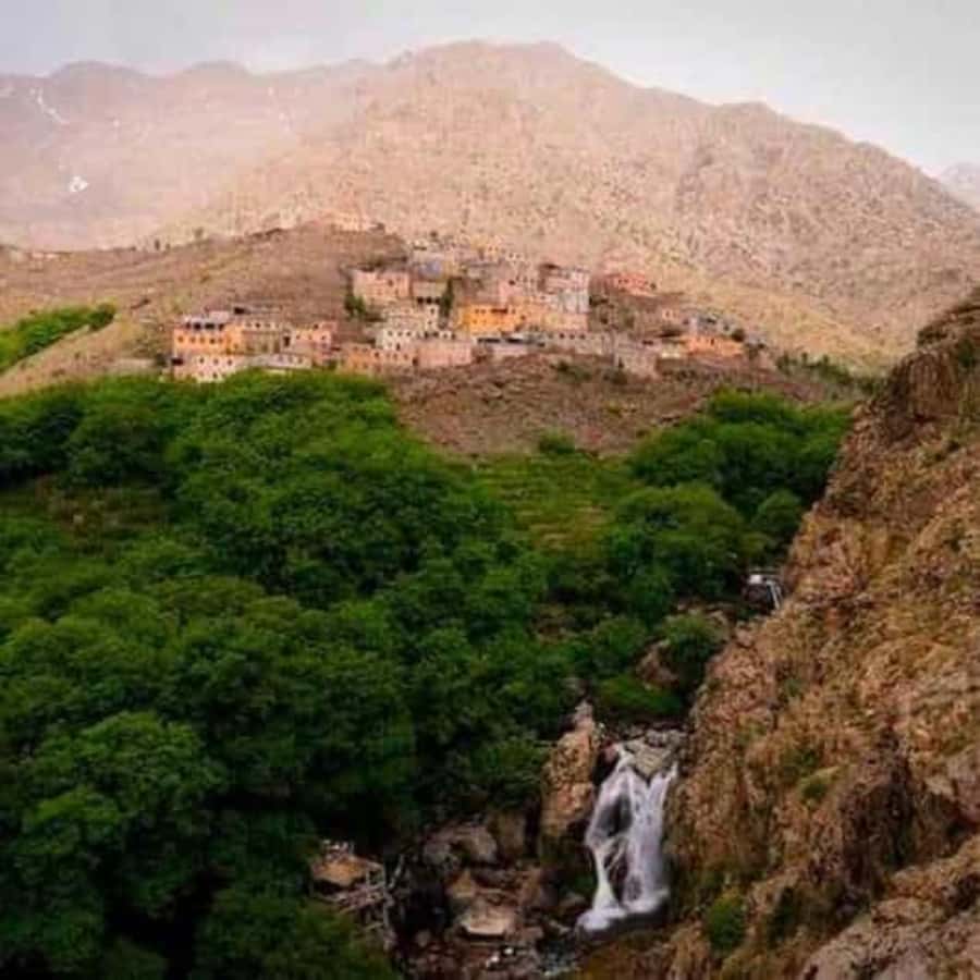 Marrakech: Atlas Mountains & Valleys Waterfall Hike w/ Lunch - Guides who shape the experience