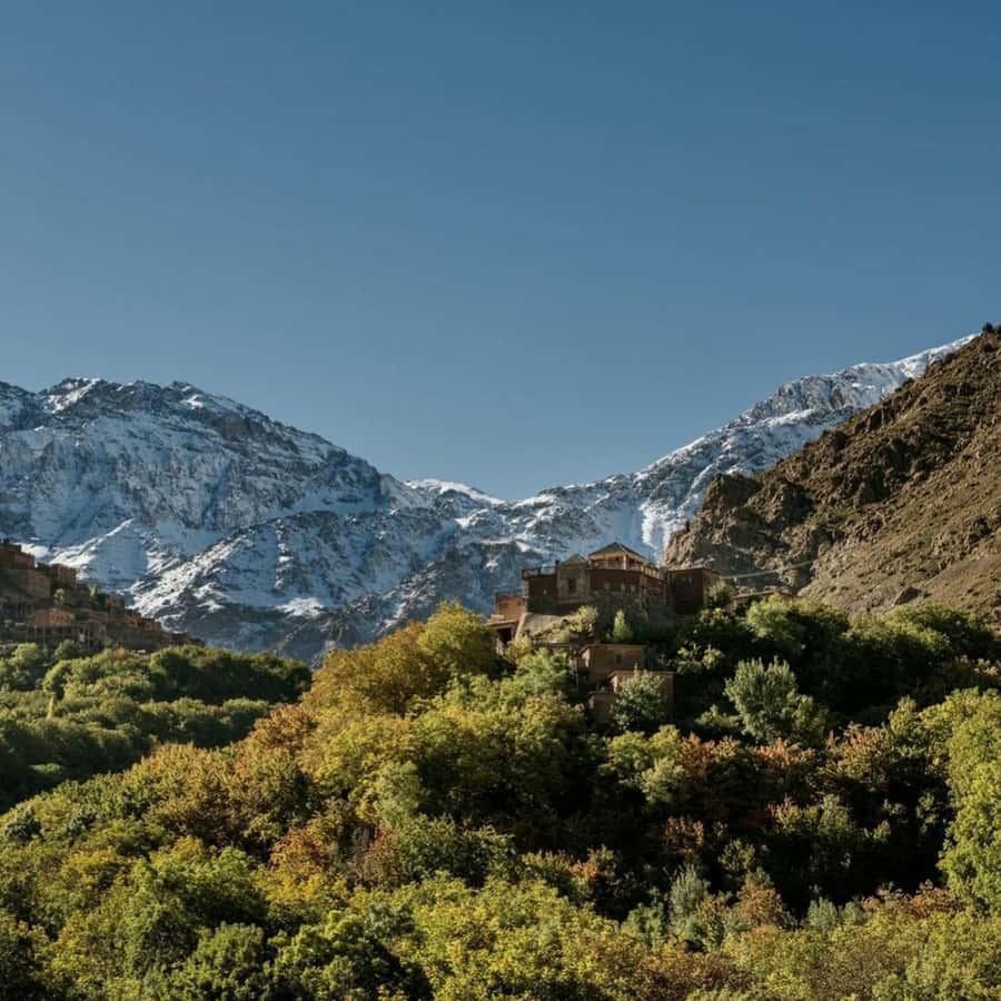 Marrakech: Atlas Mountains & Valleys Waterfall Hike w/ Lunch - Practical preparation for a smoother day