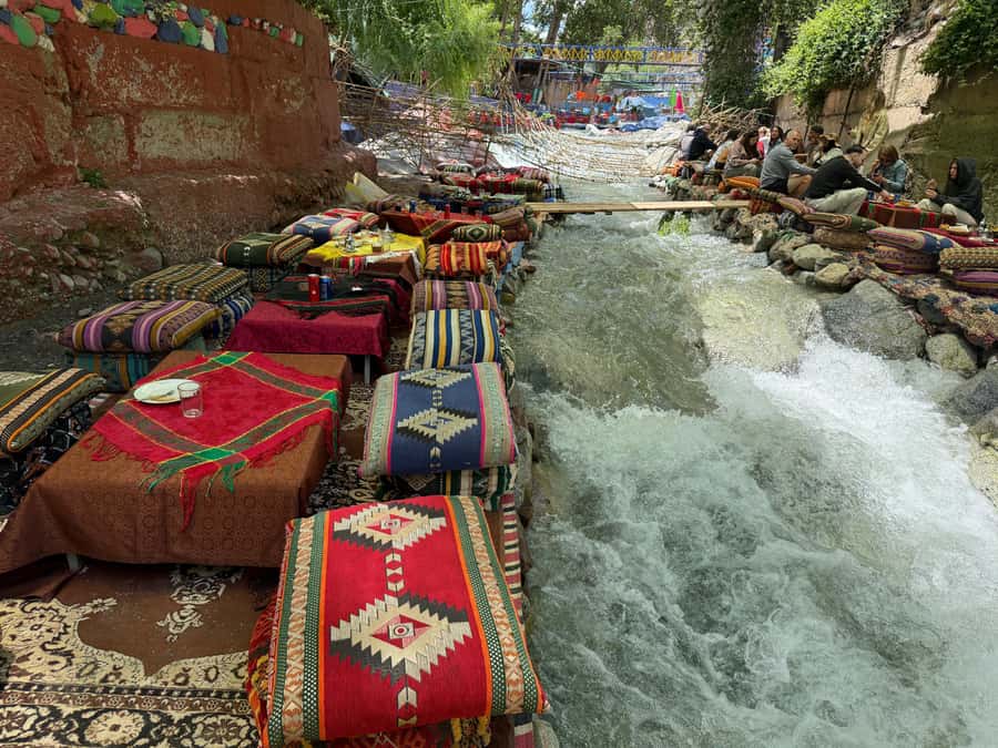 Marrakech: Atlas Mountains, Waterfalls, Ourika Valley +Lunch - What the argan oil cooperative adds