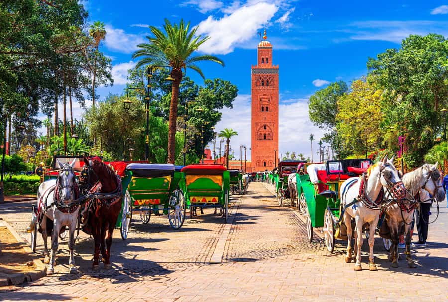 Marrakech: Bahia Palace, Madrasa Ben Youssef & Secret Garden - Key points to know before booking