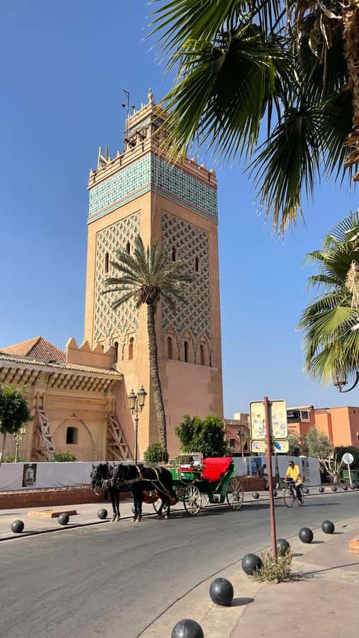 Marrakech: Bahia Palace, Madrassa & Souks Guided Tour - Bahia Palace and the language of the riad