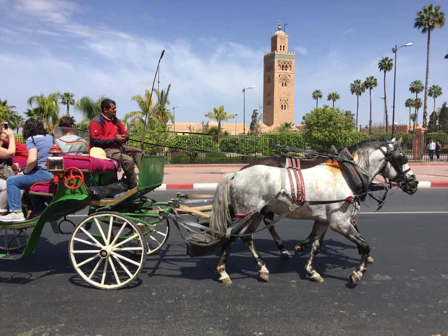 Marrakech: Bahia Palace, Saadian Tombs, & Koutoubia Mosque - Key points at a glance