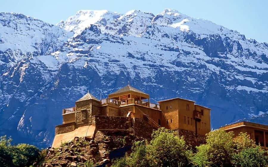 Marrakech: Berber Spa and Traditional Hammam with Steam Room - What This Marrakech Hammam Experience Includes