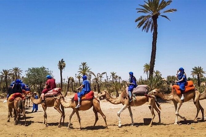 Marrakech Best Day Trip from Casablanca - Souk Semmarine and the art of browsing