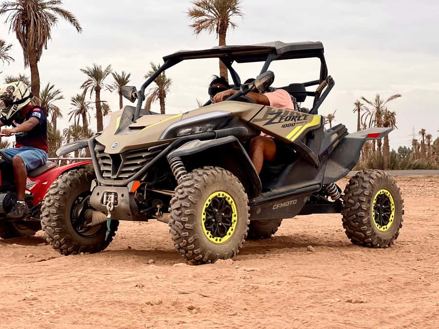 Marrakech: Buggy Adventure & Horse Riding in the Palm Grove - A gentle one-hour horse ride through the Palm Grove