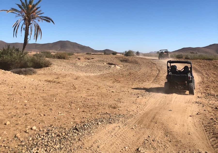 Marrakech: Buggy Experience at Palmeraie with Hotel Pickup - Driving among the palms