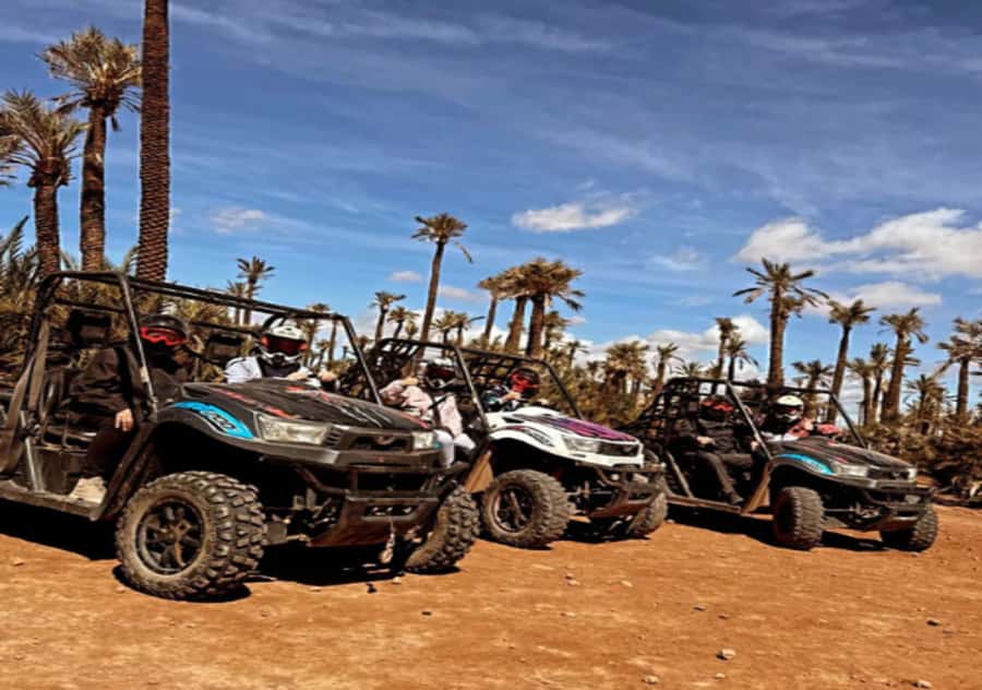 Marrakech: Buggy Experience at Palmeraie with Hotel Pickup - Who will enjoy this most?