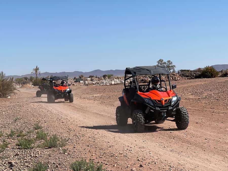 Marrakech Buggy Palmerie and Desert - From Marrakech hotel to Palmeraie trails