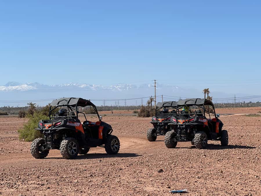 Marrakech Buggy Palmerie and Desert - What the guides add to the experience