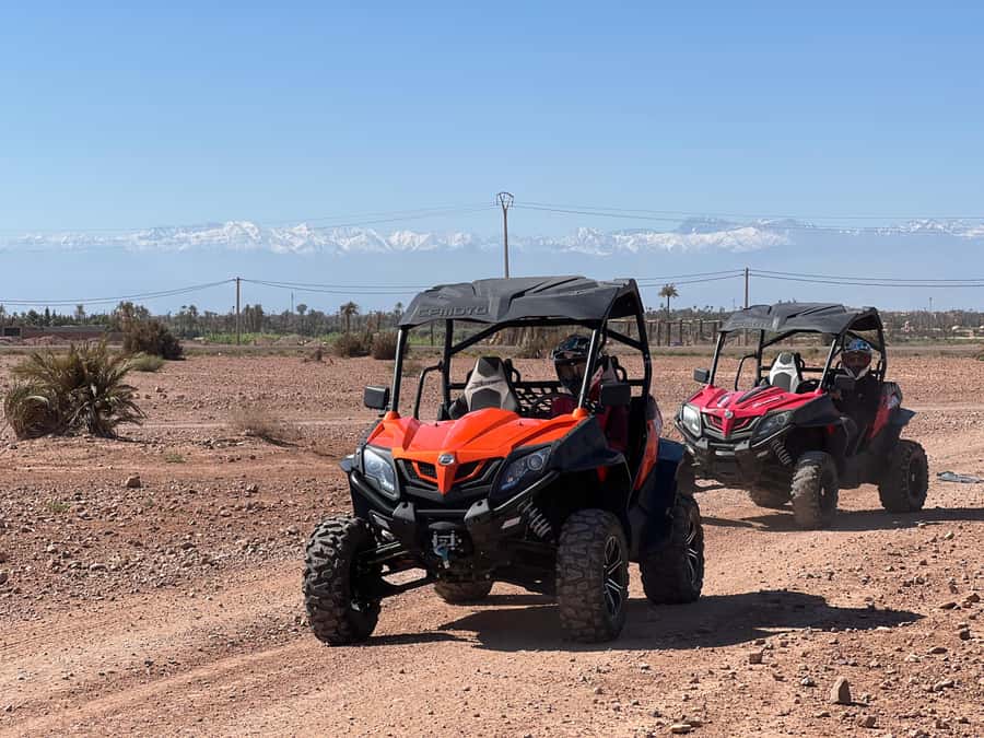 Marrakech Buggy Palmerie and Desert - Is $44 good value for three hours?