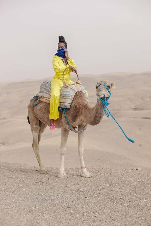 Marrakech: Camel & Quad Bike Tour with Sunset, Dinner & Show - Key points at a glance