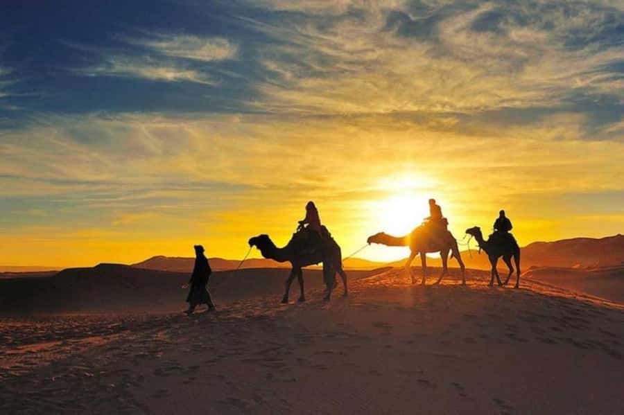 Marrakech: Camel & Quad Bike Tour with Sunset, Dinner & Show - Thirty minutes on a shared quad bike