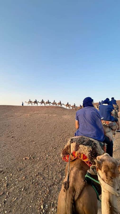 Marrakech: Camel & Quad Bike Tour with Sunset, Dinner & Show - Tea, open views, and a slower pace