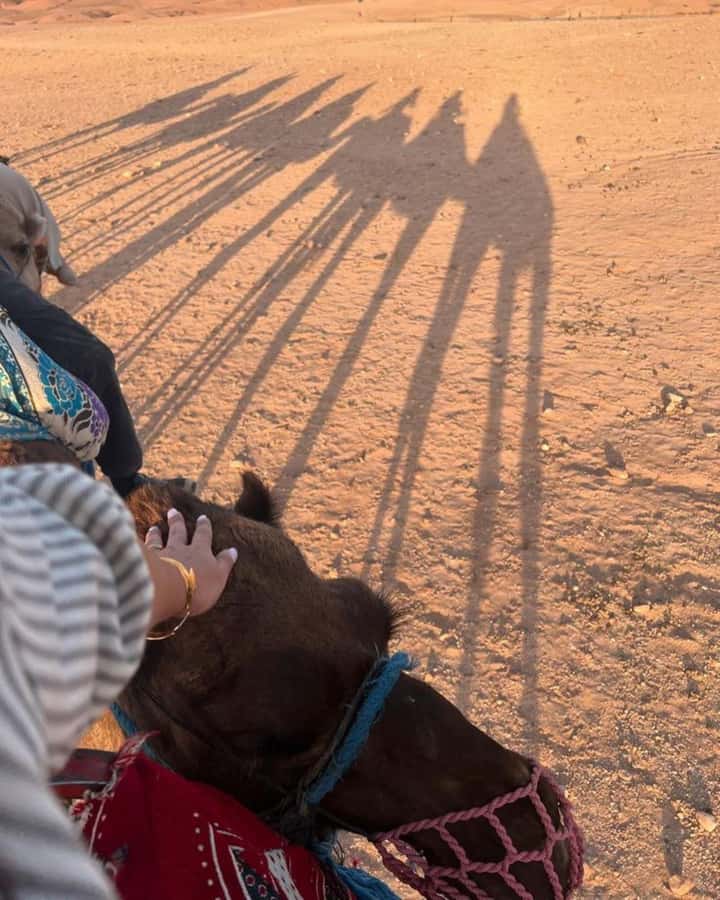 Marrakech: Camel & Quad Bike Tour with Sunset, Dinner & Show - The argan oil cooperative stop
