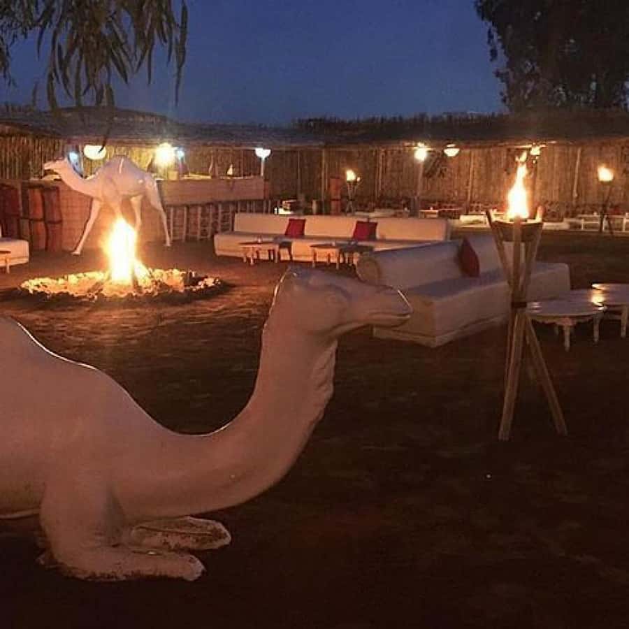 Marrakech: Camel Ride & Dinner with Sunset in Agafay Desert - What the $11 price really gives you