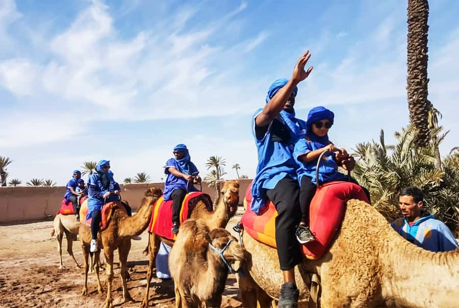 Marrakech: Camel Ride in the Oasis Palmeraie - How much value do you get for $26?