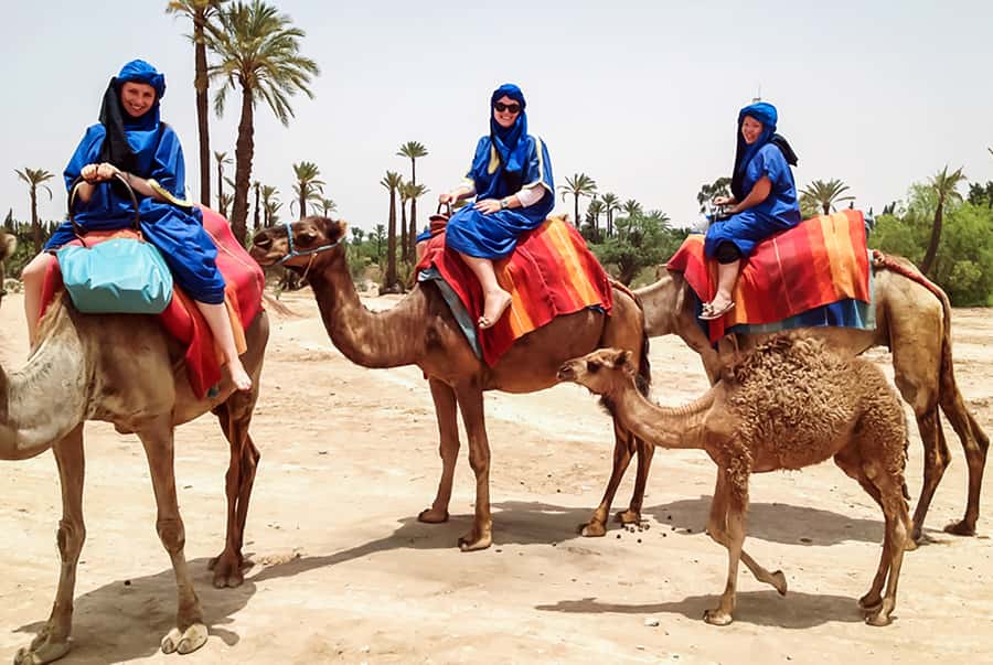 Marrakech: Camel Ride in the Oasis Palmeraie - What the Palmeraie camel ride is really like