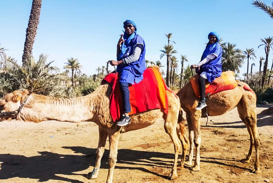 Marrakech: Camel Ride in the Oasis Palmeraie - Palm groves, orange trees, and village paths
