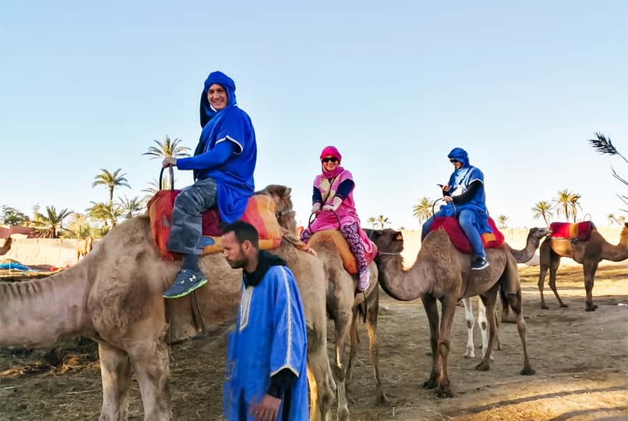 Marrakech: Camel Ride in the Oasis Palmeraie - Mint tea in a nomadic-style area