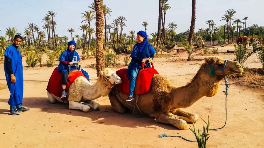 Marrakech: Camel Ride in the Oasis Palmeraie - The camels and the care you can observe