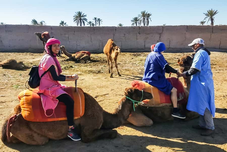 Marrakech: Camel Ride in the Oasis Palmeraie - Guide quality makes the difference