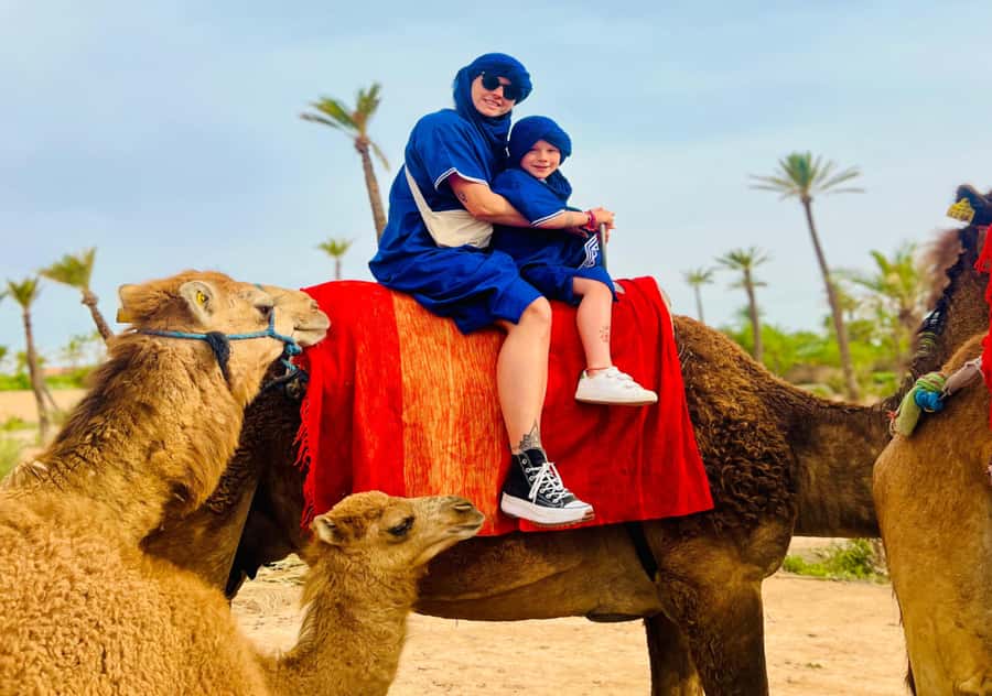 Marrakech: Camel Ride in the Oasis Palmeraie - Hotel pickup and the short drive out of Marrakech