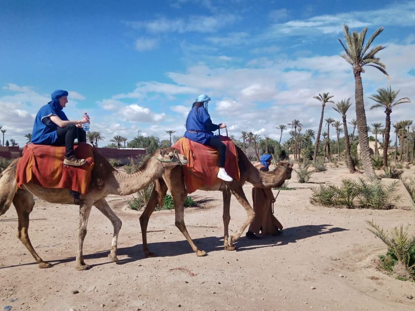 Marrakech: Camel Ride in the Palm Grove - Should you book the Palmeraie ride?