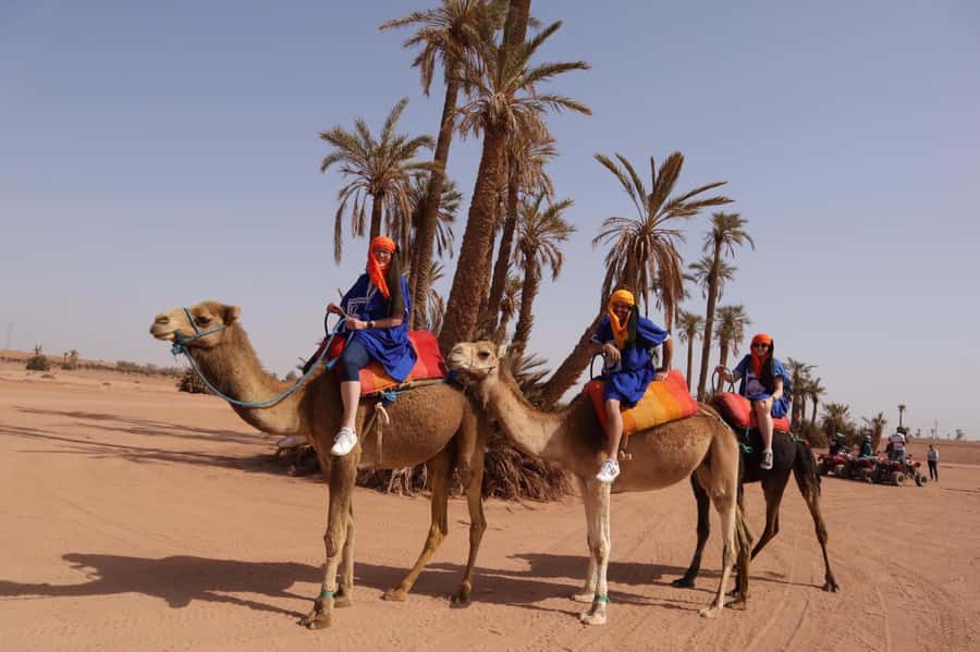 Marrakech: Camel Ride in the Palm Grove - One hour through palm groves and village paths