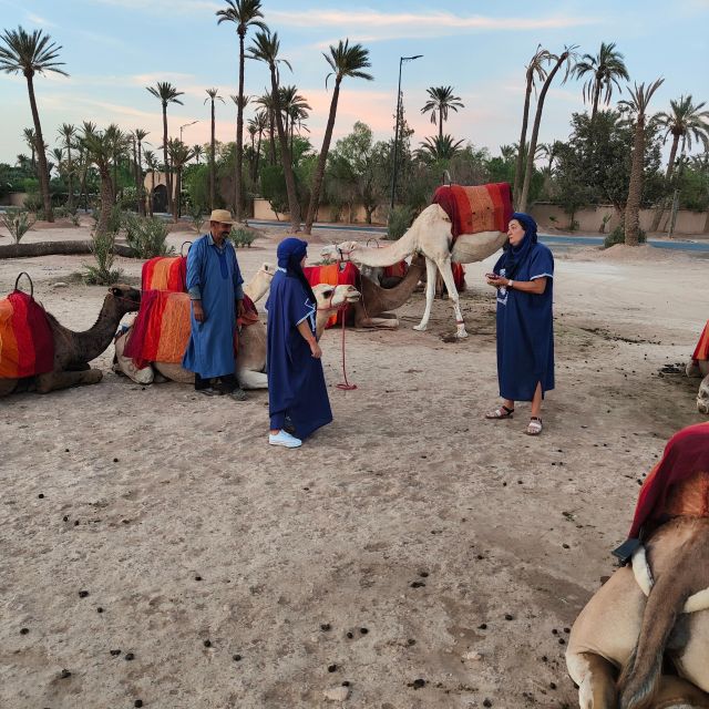 Marrakech: Camel Ride in the Palm Grove - Practical booking advice