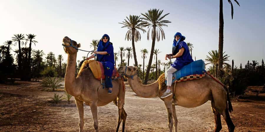 Marrakech camel ride in the palm grove - Pickup from your hotel and the ride to the Palmeraie