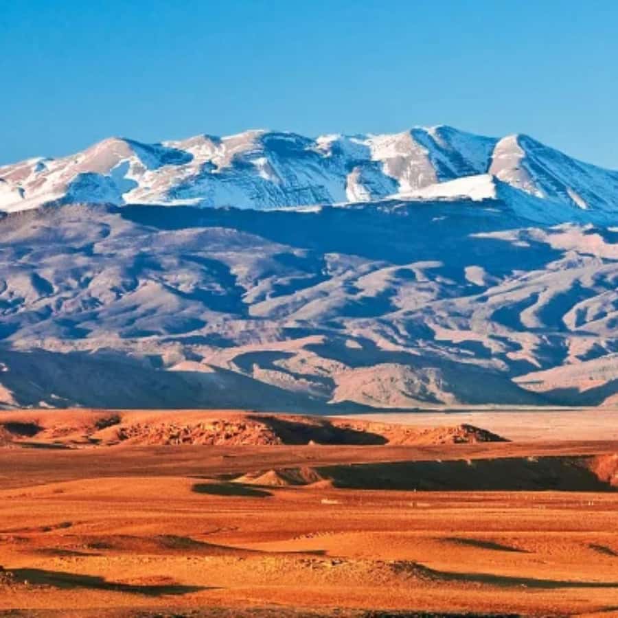 Marrakech: Camel Ride & Sunset Dinner with Fire Show - Who will enjoy this Agafay evening most