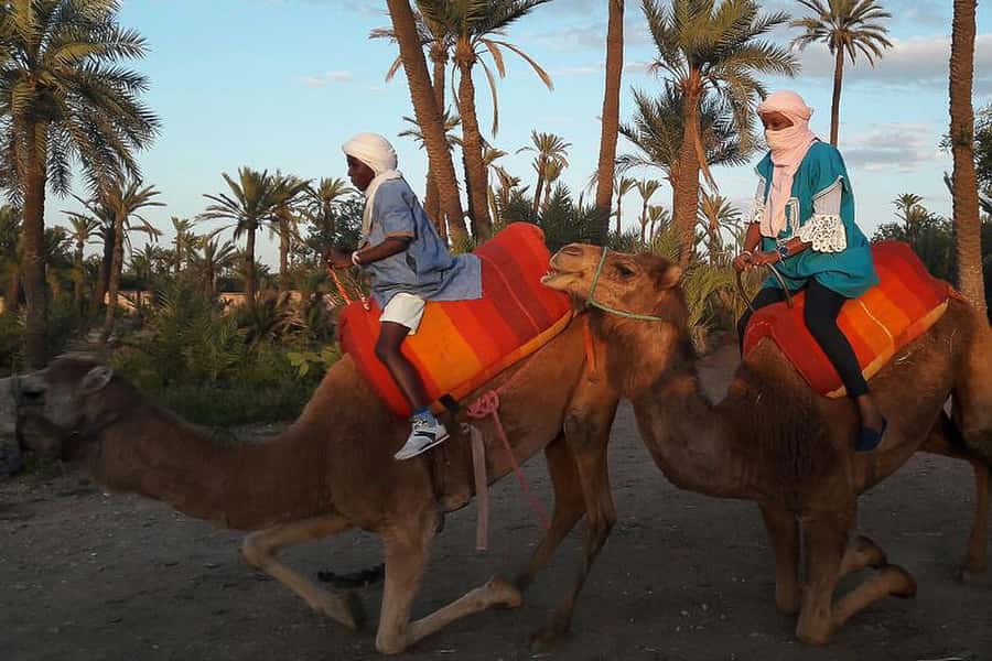Marrakech: Camel Trek - What the Palmeraie ride is really like