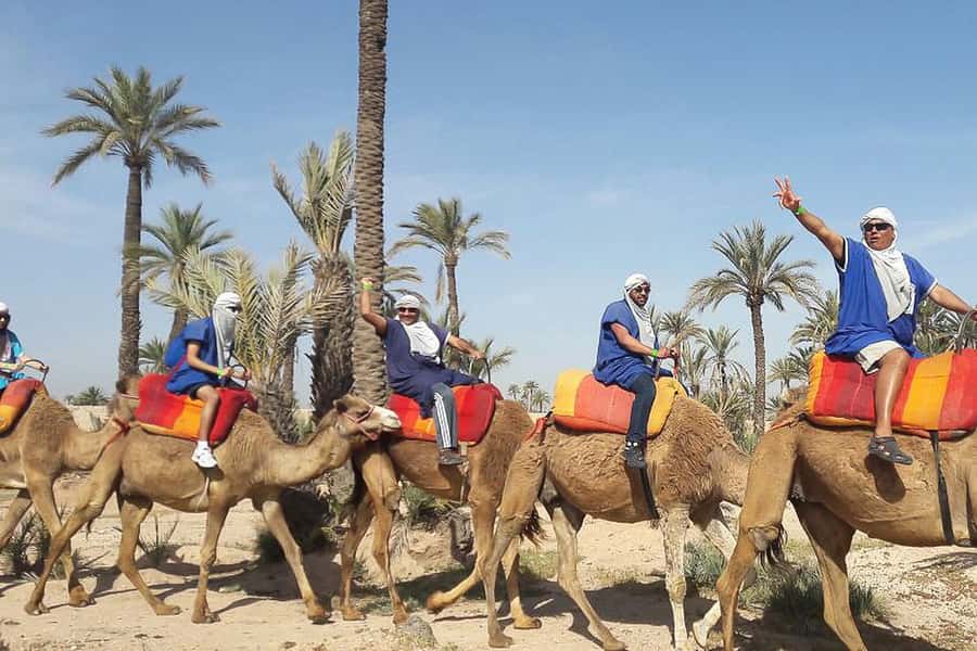 Marrakech: Camel Trek - How this compares with a Sahara camel trek