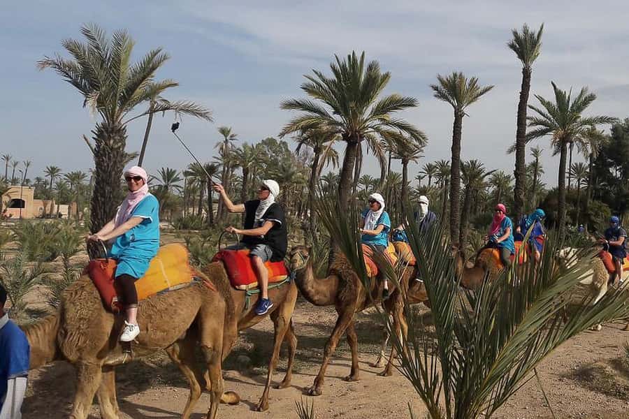 Marrakech: Camel Trek - Dressing for the dromedary ride