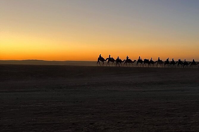 Marrakech: Camels & Quads on Sunset and Luxury Dinner with Show - Guides, drivers, and how the evening is managed
