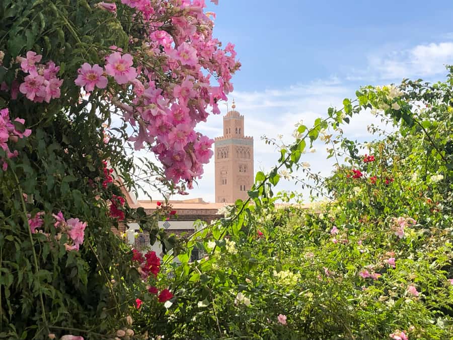 Marrakech: Customized Guided Walking Tour - Saadian Tombs and Marrakech’s royal past